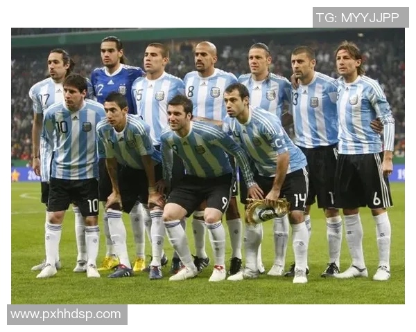 2006年世界杯阿根廷对阵波黑精彩回顾与比赛分析